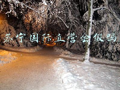 苏宁国际直营会假吗