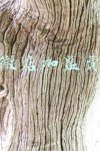 大家觉得加盟“众鲜云集”有钱途吗？_加盟众鲜云集挣钱吗