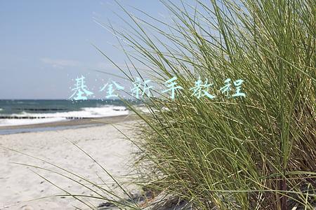 基金新手入门教程(基金入门篇——各版块介绍)