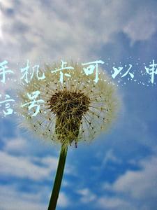 一张手机卡可以申请几个微信号