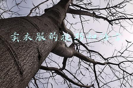 卖衣服的技巧和语言