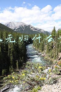 血本无归什么意思