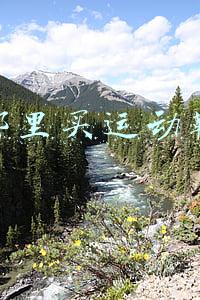 哪里买运动鞋