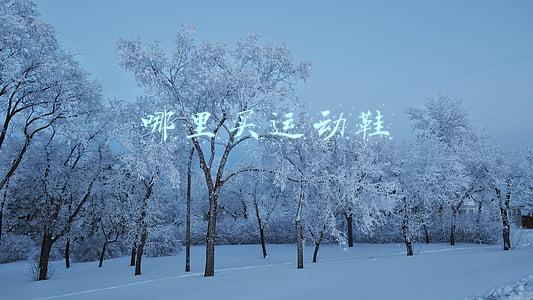 哪里买运动鞋是正品(鉴定平台“得物”遭仿冒：从网站到包装盒都高仿，16人被抓)