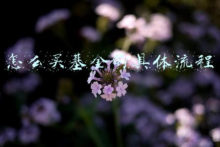 怎么买基金的具体流程