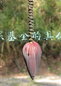 怎么买基金详细步骤(什么是基金投资的正确“打开方式”？)