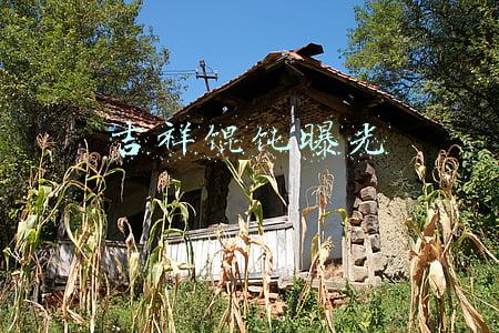 吉祥馄饨曝光