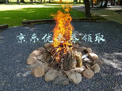 京东优惠券领取