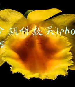 分期付款买iphone13是付第一期就会发货吗(首批iPhone 13系列天猫发货了！9月24日正式开卖)
