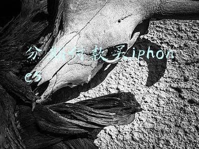 iphone5充电宝(记者调查：“三无”充电宝好比“定时炸弹”)