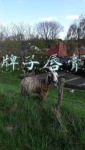 什么牌子唇膏好用