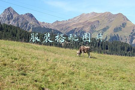 服装搭配图片大全(27套温柔气质穿搭，大方显白的浅色系搭配，美翻整个春天)