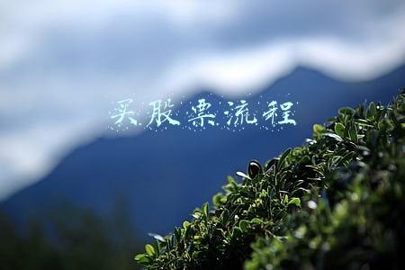 买股票流程
