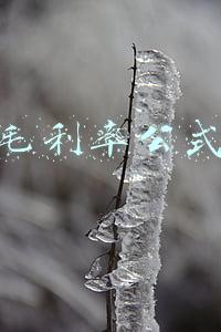 毛利率公式