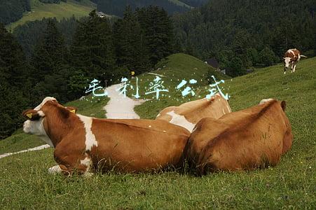 毛利率公式
