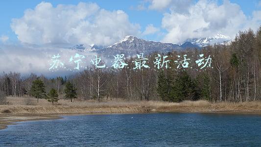 苏宁电器双十一有活动吗(今晚8点开启提前抢！苏宁易购双11家电爆款预定至高省千元)