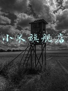 小米旗舰店