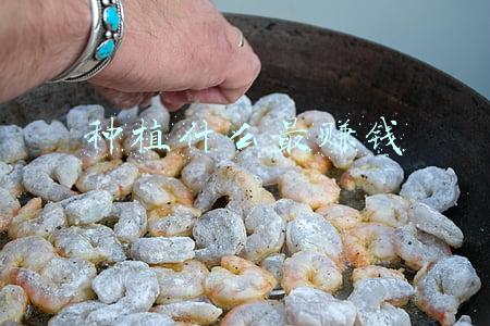 种植什么最赚钱