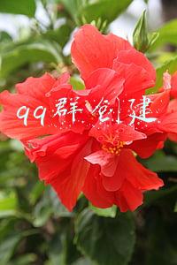 qq群创建