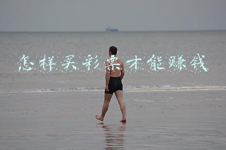 怎样买彩票才能赚钱