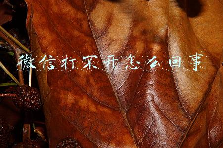 微信打不开怎么回事 微信打不开怎么回事