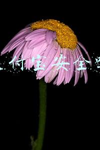 支付宝安全吗