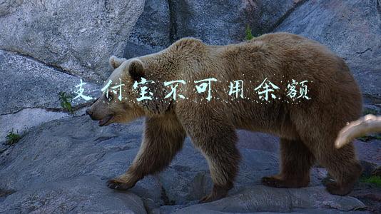 支付宝不可用余额