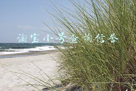淘宝小号查询信誉