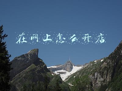 在网上怎么开店