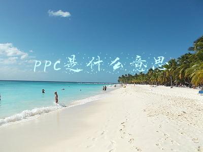 ppc是什么意思