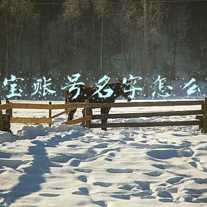 淘宝账号名字怎么改掉(手机淘宝把名字改了你知道吗？)