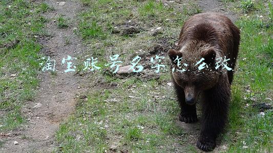 淘宝账号名字怎么改