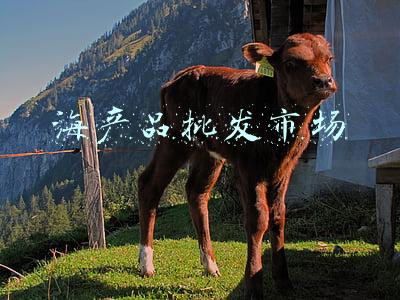 海产品批发市场