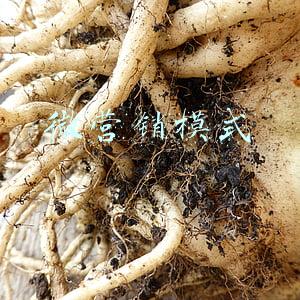 微营销模式