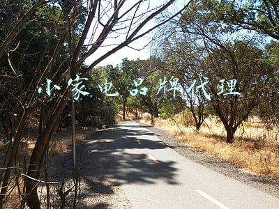 小家电品牌代理