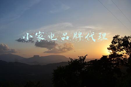 小家电品牌代理