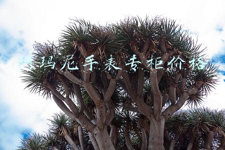 阿玛尼手表专柜价格和旗舰店价格一样吗(南昌：“京东6·18”预售的阿玛尼手表，她怀疑有问题)