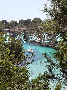 淘宝代购怎么做