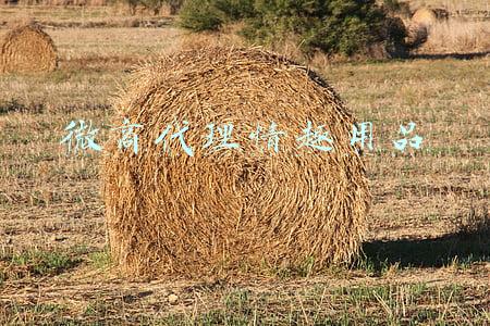微商代理情趣用品