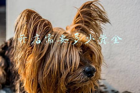 开店需要多少资金