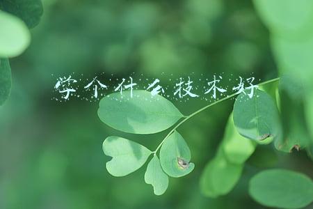 没学历学个什么技术好(无学历、无背景、无关系、无技术的人该找什么样的工作？)