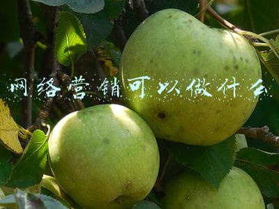 网络营销可以做什么