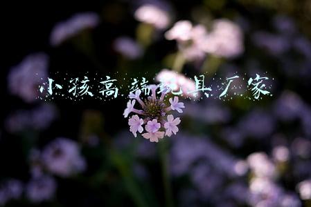 小孩高端玩具厂家
