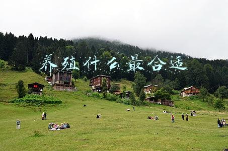 养殖什么最合适