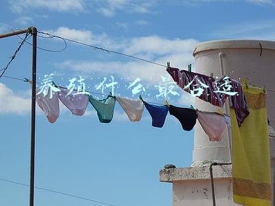 养殖什么最合适