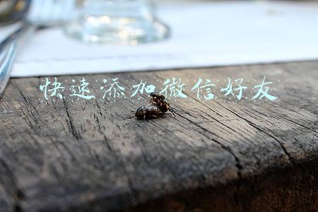 怎样快速添加微信好友(微信加好友的13个方法)