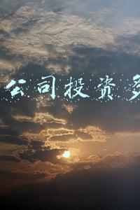 app公司投资多少