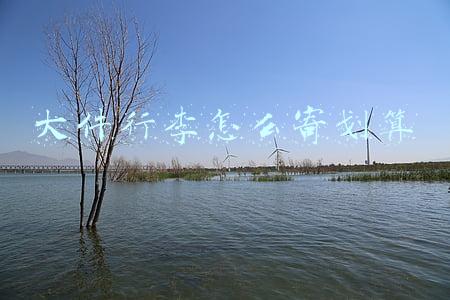 大件行李怎么寄划算