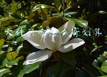 大件行李怎么寄划算