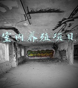 室内养殖项目